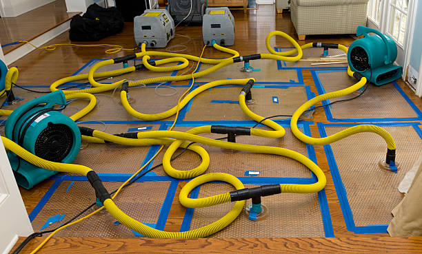Professional Sewage Cleanup technician working in Montague, MI